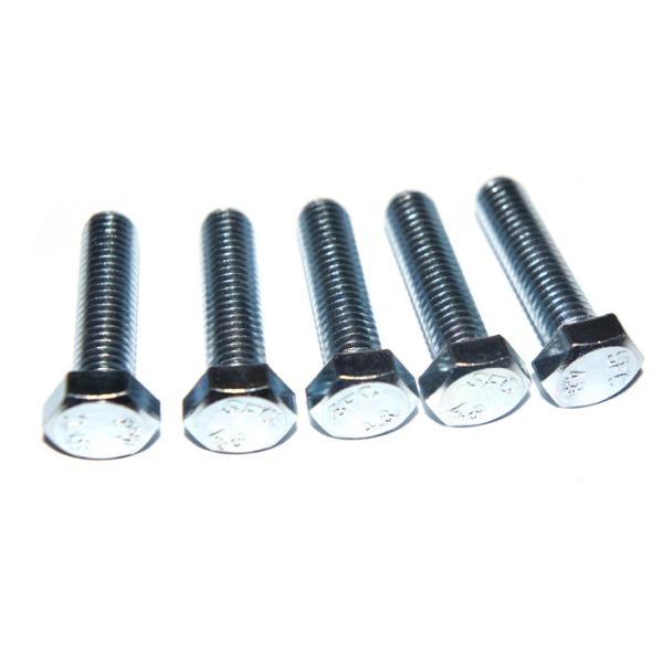 Carbon Steel Fastener , Colorful Zinc Plated / Galvanized Hex Bolts