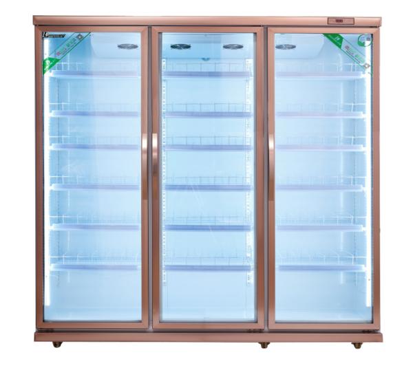 Air Cooling Soft Drink Upright Display Cooler Commercial 220v 60hz