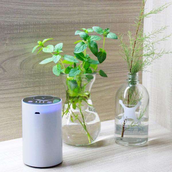 OIL and Perfume USB Essential Oil Ultrasonic Dry electric fragrance Diffuser Humidifier GK-HAD-10005