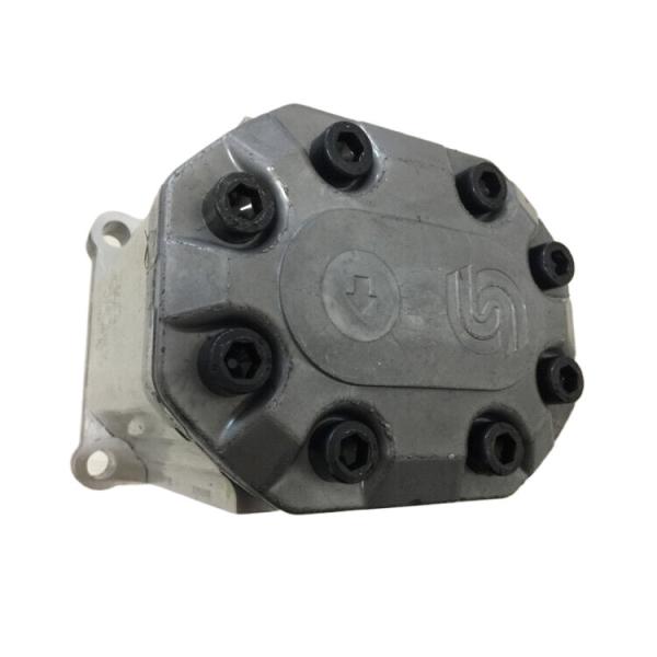 Danfoss Gear Pump 111.25.071.0C SNP3NN 055RN01BA P1F6F6NNNN NNNNN 28N0V High Performance Output