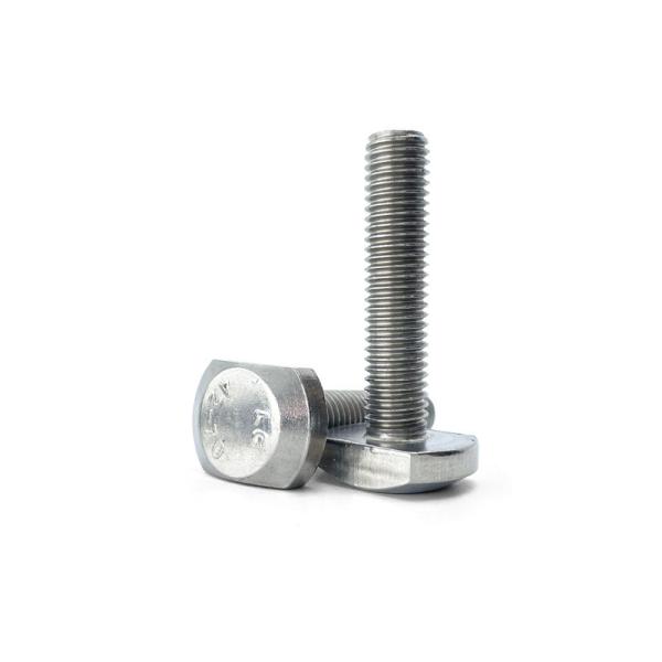 GB37 Stainless Steel 304/316 T- Bolts for T Shaped Channel / T-shaped Clamp Screws Photovoltaic