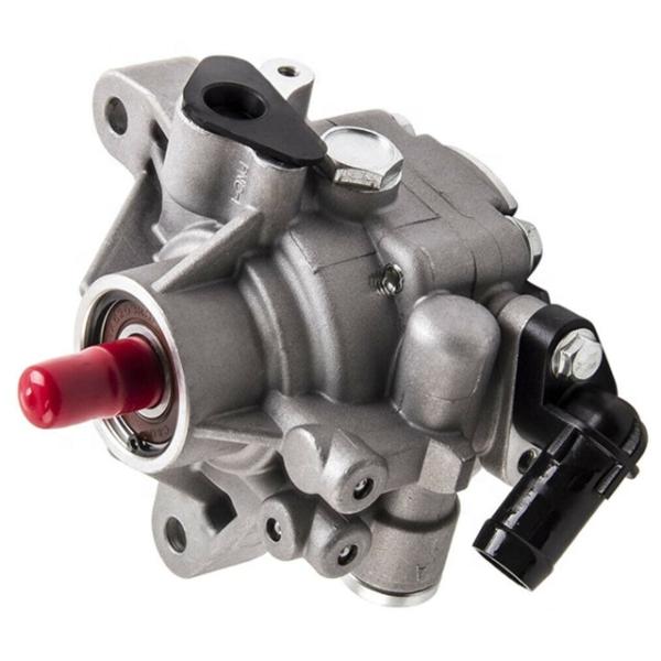 56110-RAA-A01 Steering Pump For Honda Accord Vii Neutral Packing