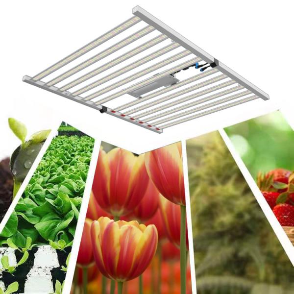 ETL 600W 720W 800W Светодиодная лампа полного спектра для выращивания растений 2,8 µMol/S/W