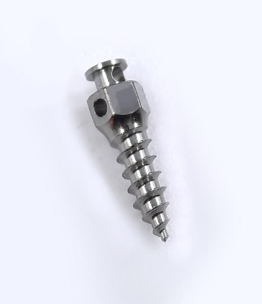 Titanium Alloy Orthodontic Micro Screws Dental Orthodontic Microimplants