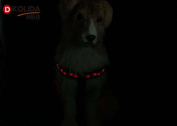 Eco - Friendly Nylon Webbing USB Rechargeable LED Dog Harness 2.5X50cm / 60cm