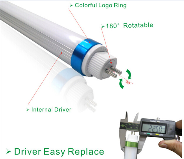 Wholesale T5 LED Tube From Shenzhen With 5 years Warranty