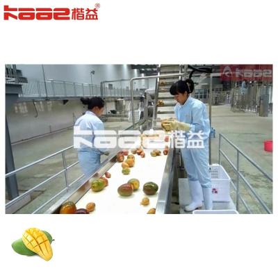 Complete Mango Juice Processing Machine 1-20T/H Or Customized