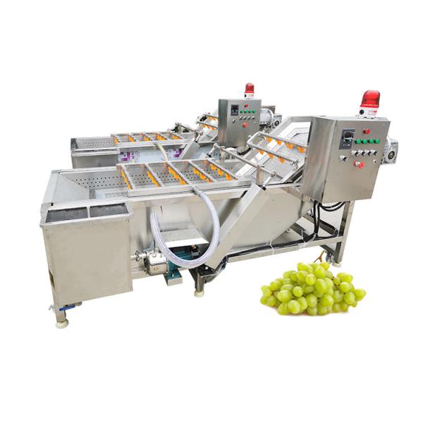 Lotus Root Drain Water Pump Washing Machine Foshan