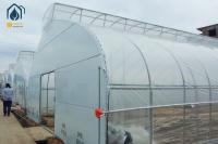 Tunnels commerciaux Fleurs et légumes Serre Structure en acier galvanisé à chaud