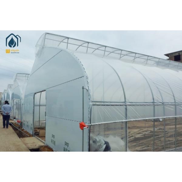 Hot Galvanized Steel Frame Greenhouse Commercial Tunnel Vegetable Growing