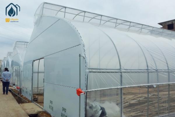 Túnel comercial Flor de vegetales de cultivo Invernadero Estructura de acero galvanizado en caliente
