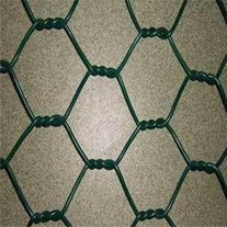 Hexagonal Wire Mesh, Stainless Steel, Galvanized Steel Wire, PVC Coated Wire