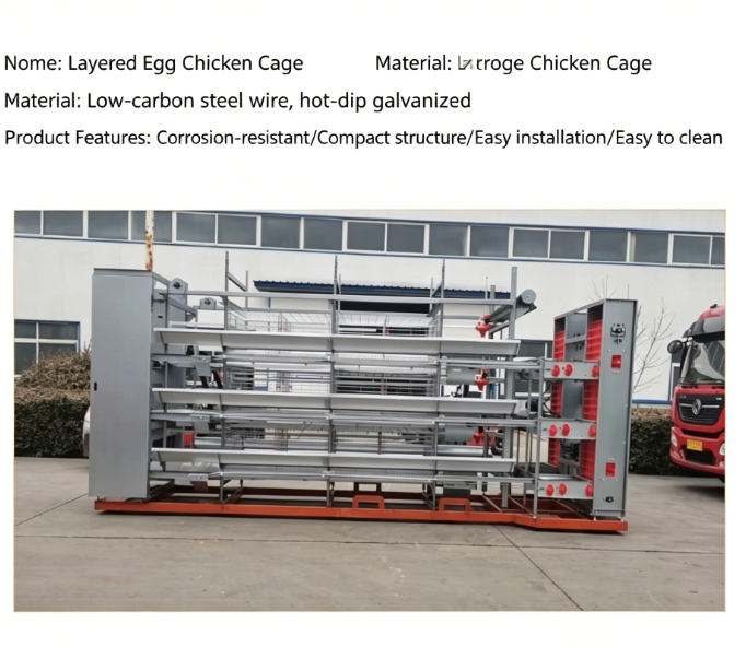 High-rise Multi-tier Hot-dip Galvanized Layer Cage System for Automated Poultry Farming