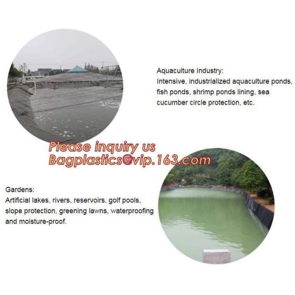 Construction Builder Film, Waterproof Dampproof, PONDS LINER, Geomembrane, Geotextile, Protective Cover