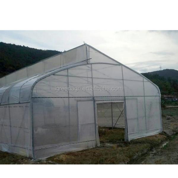 Vegetable Cultivation Plastic Tunnel Greenhouse 12m Width Single Layer