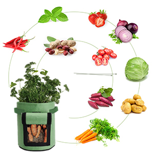 Eco-Friendly PE Potato Growing Bag Garden Planter Bags Reusable Washable Grow Pots Waterproof, Smart Pots for Vegetable