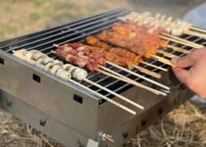 Fogo de acampamento galvanizado Pit Grill Velp da grade do ASSADO de Mesh For do