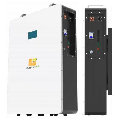 10kwh 51.2V batterie murale 200Ah stockage solaire batterie au lithium