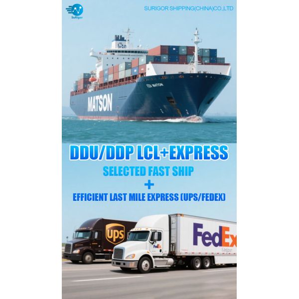 Customs Clearance Express LCL Services From China To USA LCL sea freight