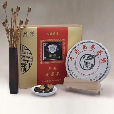 Chá chinês famoso do pacote do presente, chá escuro de Hunan com vida útil longa