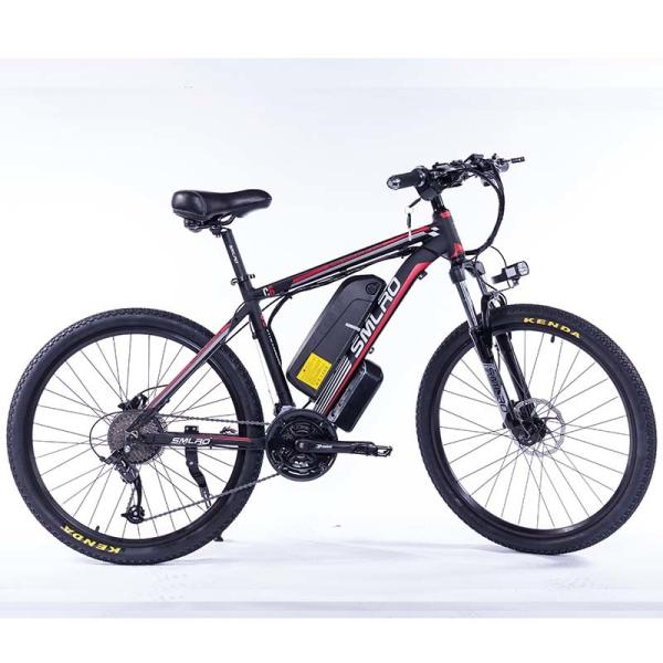 21 Speed 350W Portable Electric Bike Alloy Frame Brushless Motor