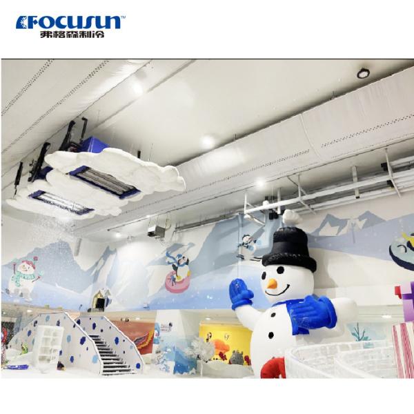 220V/1P/60HZ/50HZ Copeland Compressor Focusun 600kg Snow Maker Machine for Spa Hotels