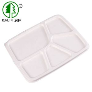 Biodegradable Food Trays