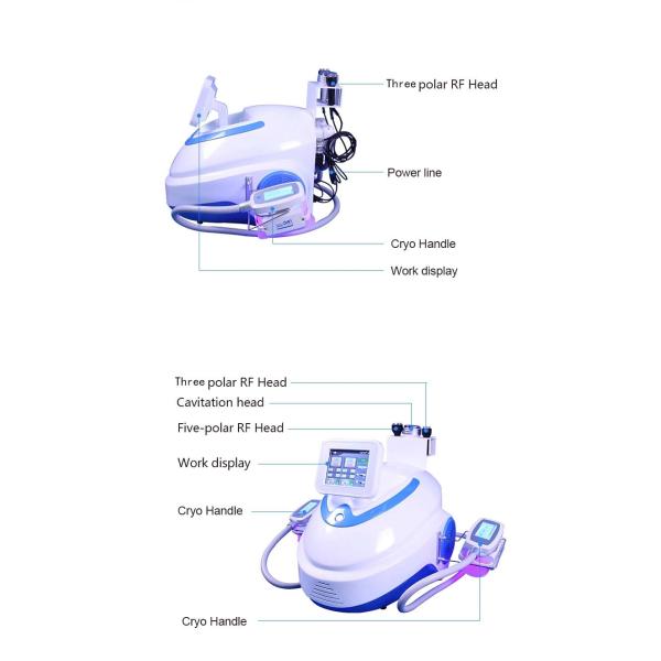 Portable 5 in 1 Criolipolisis Cooling Therapy Fat Freezing Slim RF Cavitation Machine