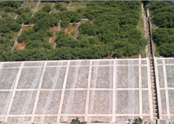 Tela não tecida transparente da paisagem