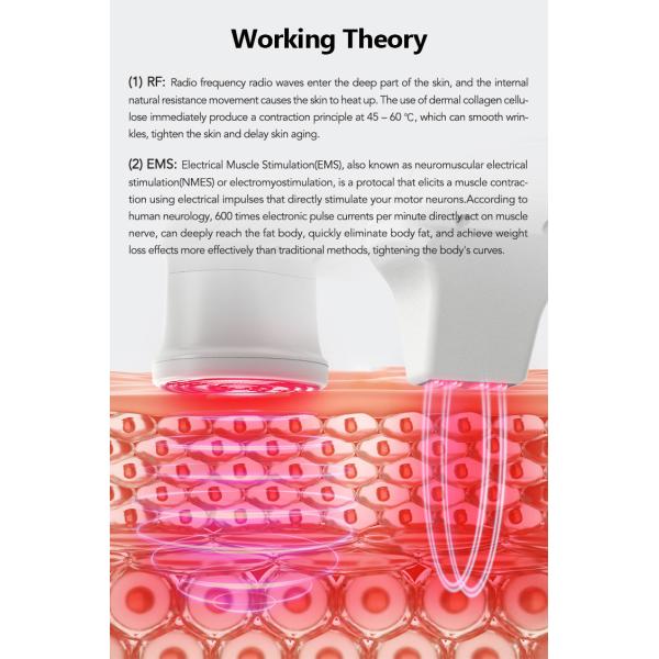 Une machine à all-in-one pour le visage, un appareil de minceur de corps.