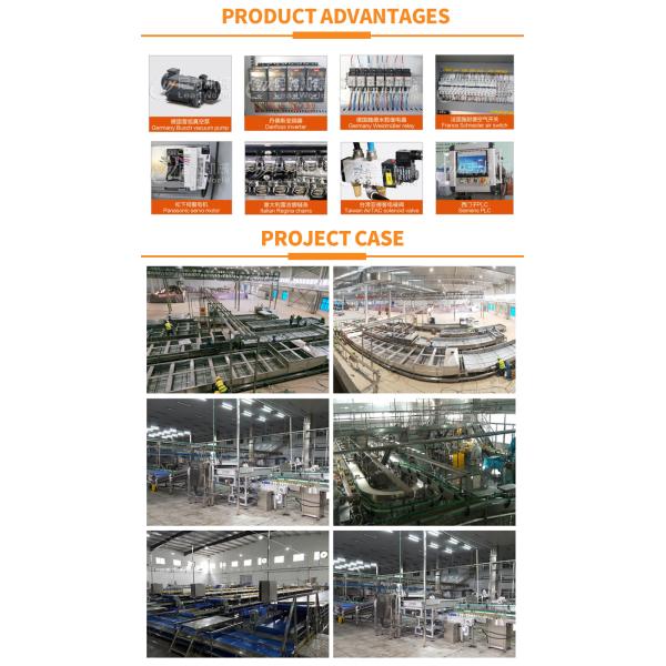 380В линия для мытья овощей и зеленый перец Чили очистительная машина