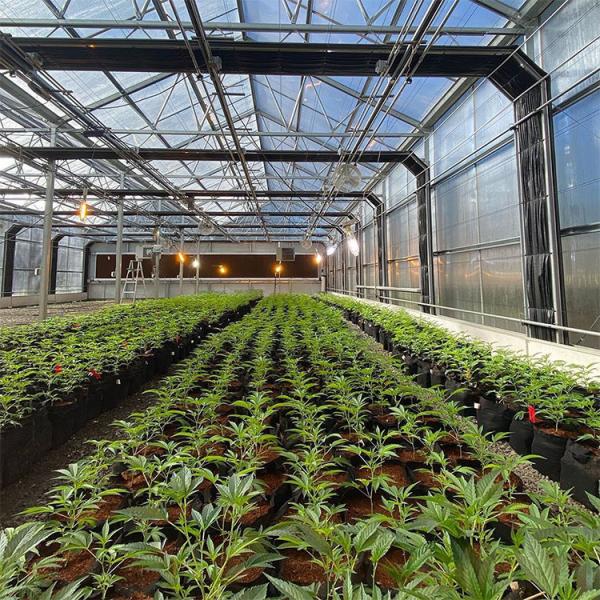 Light Deprivation Greenhouse Dimensions Mushroom Herb Grow Shading Dep Greenhouse