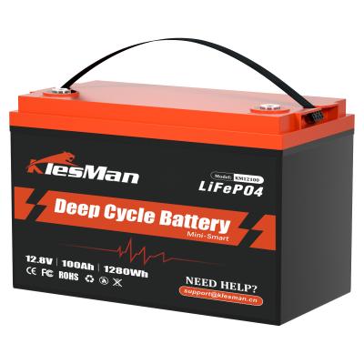 1000mAh LiFePO4 Rv Bateria de ferro de lítio Bateria LiFePO4 2000 Vida útil