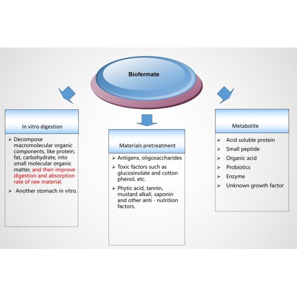 Improver Probiotics заквашивания ISO 9001 био и комбинация энзима