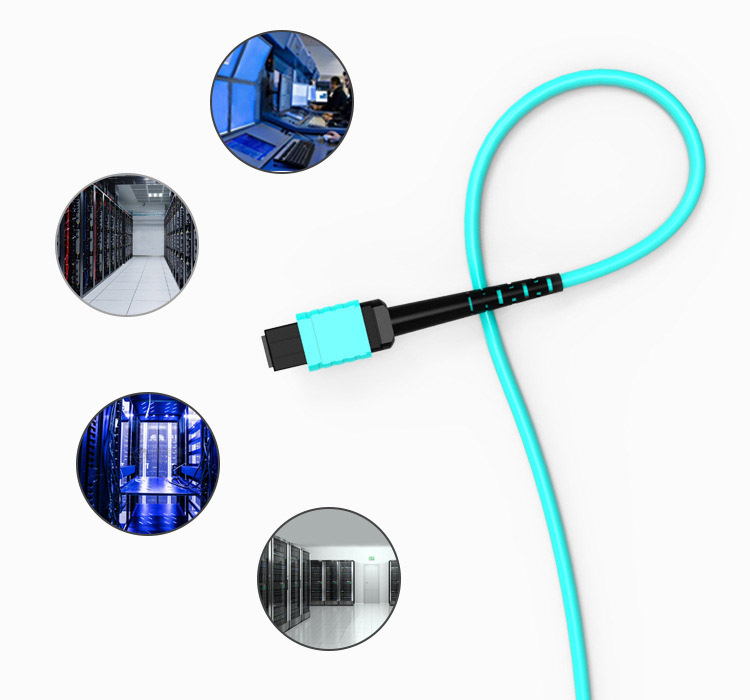 8/12/16/24 Cores Multimode MPO/MPT OM3/OM4 to LC Breakout Fiber Optic Patch Cord