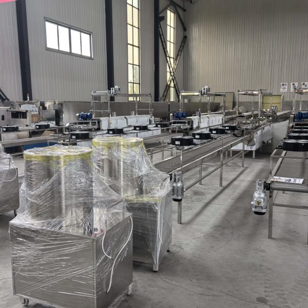 Non-Fried Instant Noodles Production Line Large Bowl Instant Noodles Food Processing Equipment