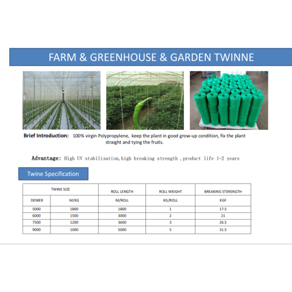 UV Stabilized Polypropylene Twine with High Breaking Strength and Customized Colors for Agricultural Use