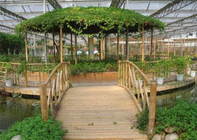 Easy Installation Ecological Greenhouse Custom Span Width For Agricultural Planting