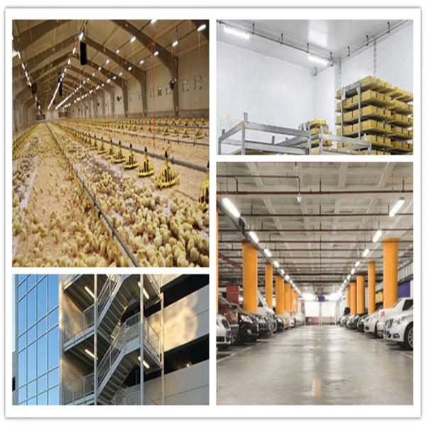 Commercial LED vapor tight 18W 4Ft with Waterproof IP66 Rating and Dimmer Support