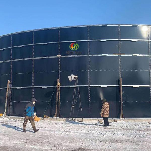Représentation coûtée élevée projet anaérobie d'usine de biogaz de réacteur