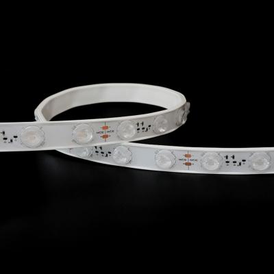 Bandes de lentilles LED intérieures et extérieures IP67 Étanche Éclairage économe en énergie