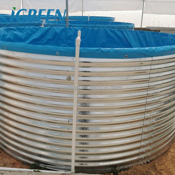 Customized Shape Corrugated Galvanized Steel Fish Pond Fish Tank PVC Tarpaulin for RAS Recirculating Aquaculture System IGREEN
