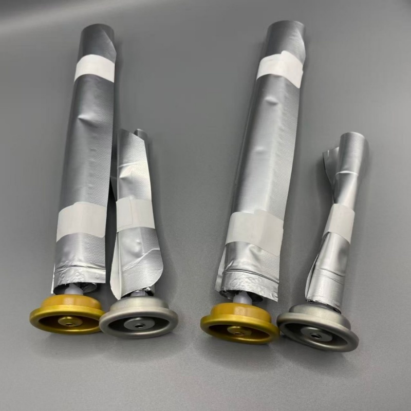 Eco-Friendly Female Bag on Valve Aerosol System for Sustainable Packaging