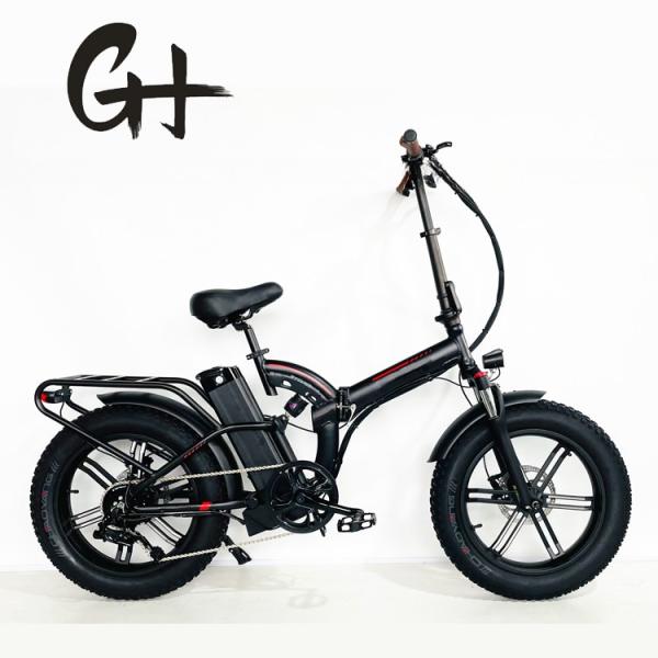 750W 1000W 48V Fat Tire 4.0 Folding Silver Frame 5 Spokes Electric Folding Bike 20 Inch