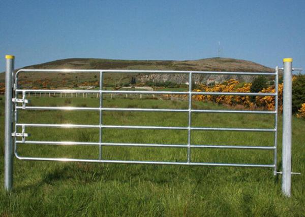 Heavy Duty Galvanized Cattle Yard Horse Fence Panel Gate Line Post 50MM