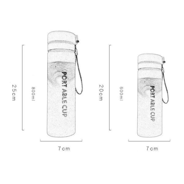Food Grade High Temperature Resistance Leakproof Frosted Plastic Water Bottle With Strap