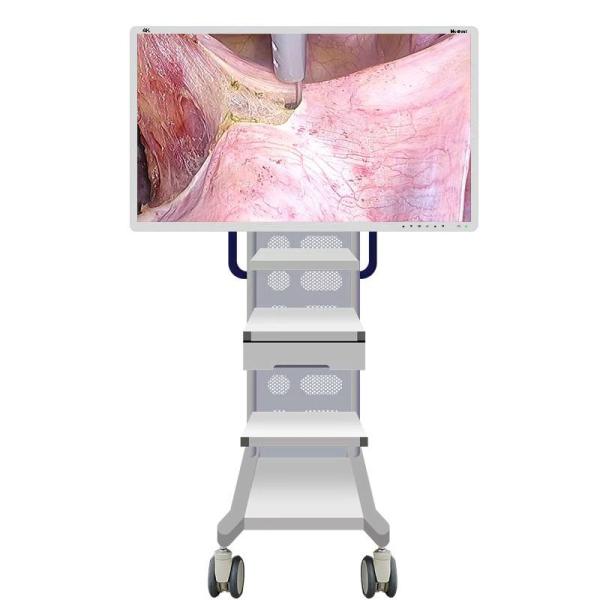 3840x2160p Ultra 4K Endoscope Camera Medical Monitor 55inch