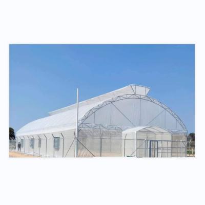 Desenho Shine Tech Túnel de travagem única Estufas agrícolas