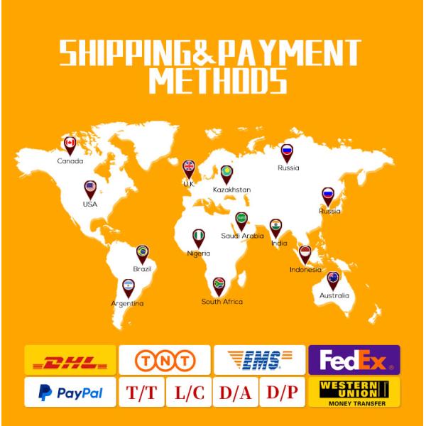 Нержавеющий внешний масляный насос для горячего циркуляционного масла в магазинах строительных материалов