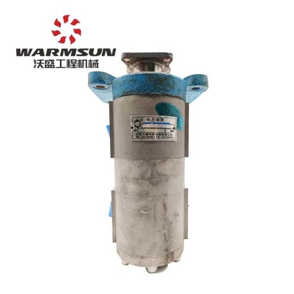 Steering Pump Manufacturer A220301000219 QC25+2515-SY Steering Oil Pump for Sy Pump Crane Spare Parts